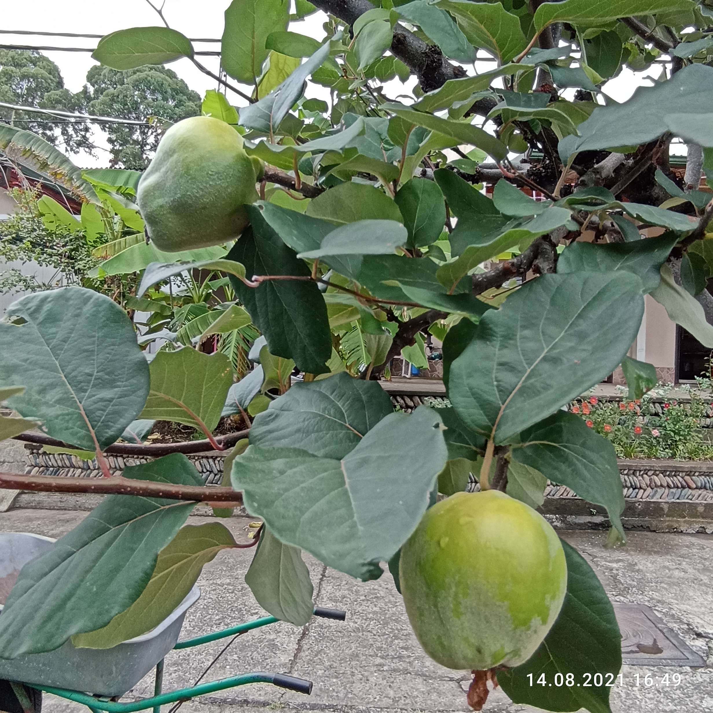 Фото Пансионат Кяласур