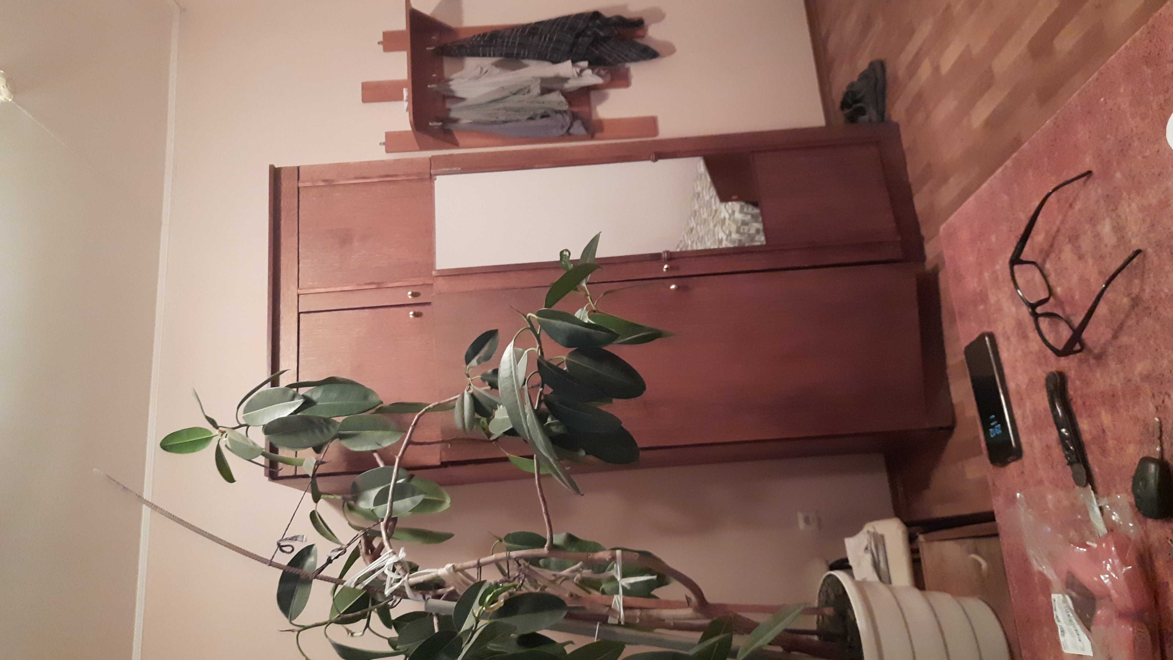 Фото Энергетик