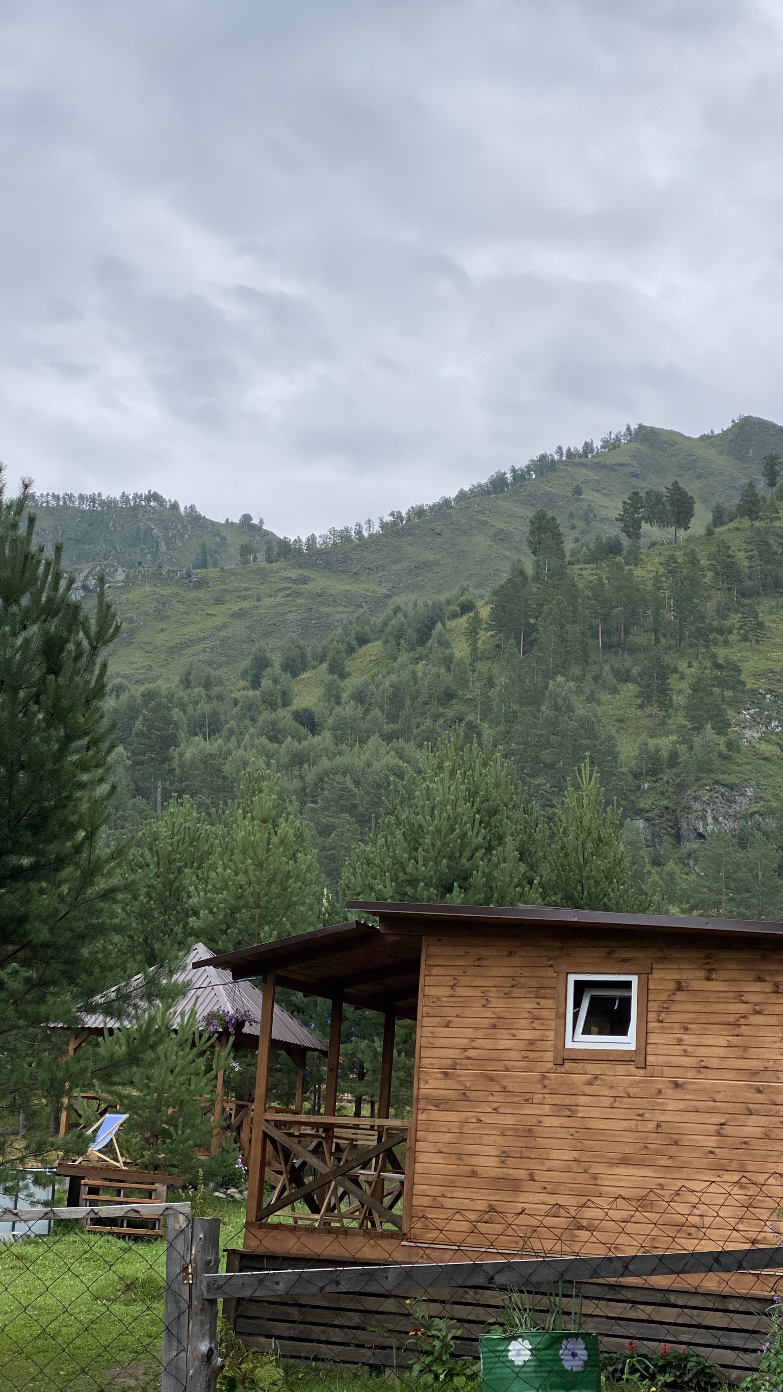 Фото Шишкин лес