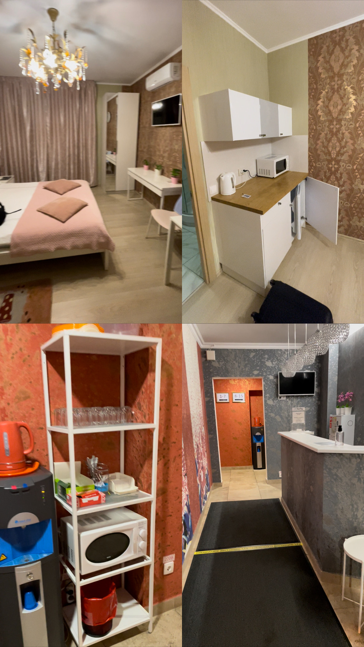 Фото Crocus Star