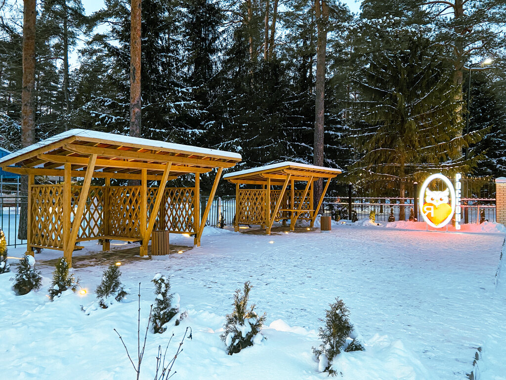 Summer camp Children's health center Rosson, Saint‑Petersburg and Leningrad Oblast, photo