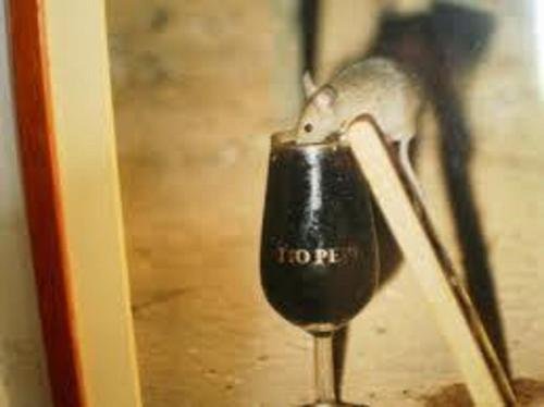 Фото Hotel Nova Centro