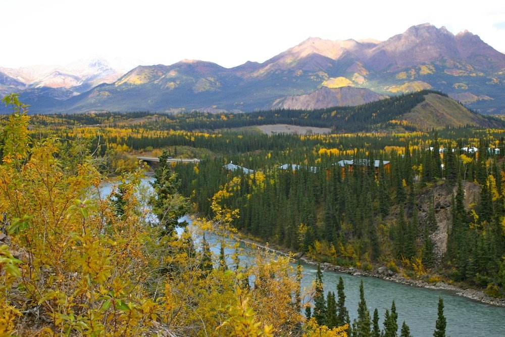 Фото Denali Grizzly Bear Resort