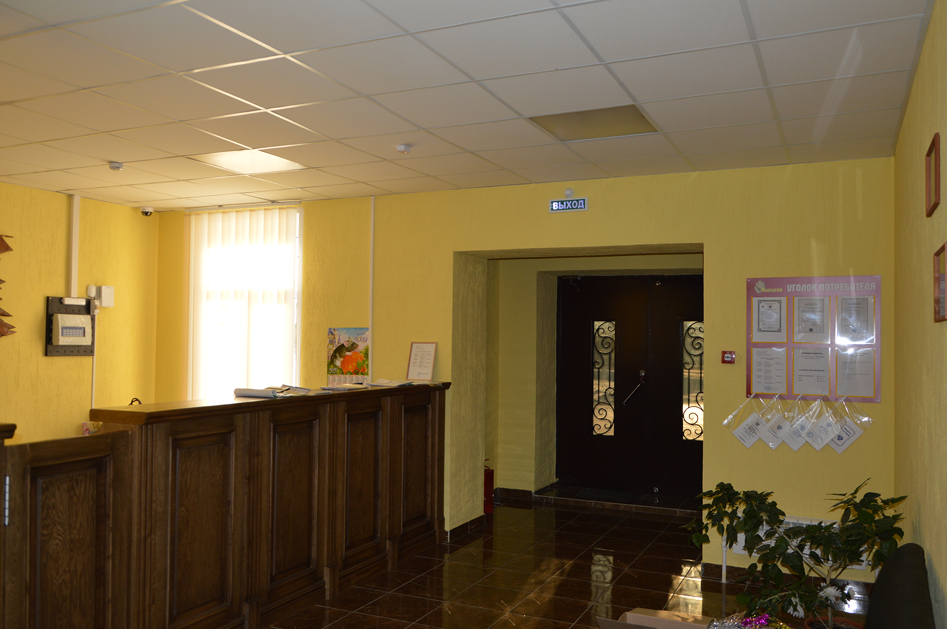 Фото Медведефф