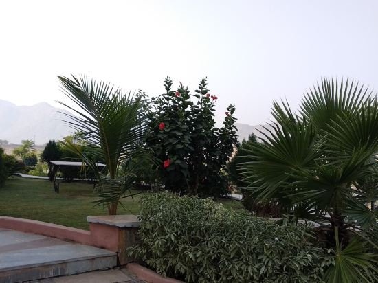 Фото Palm Valley Svasti Resort