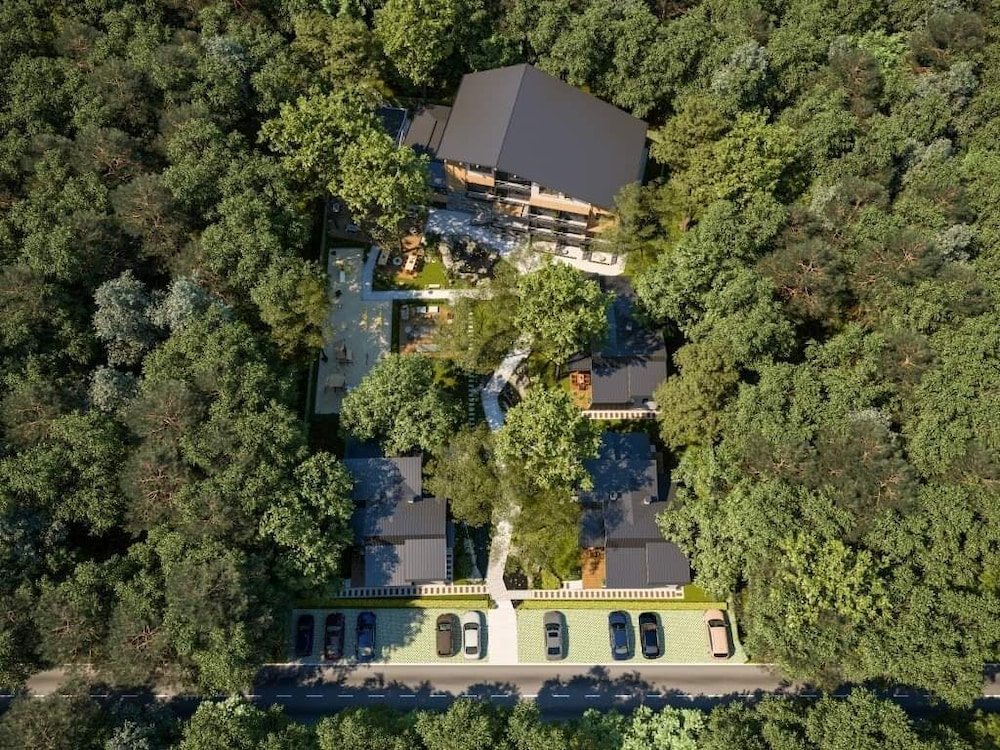 Фото Utopia Forest