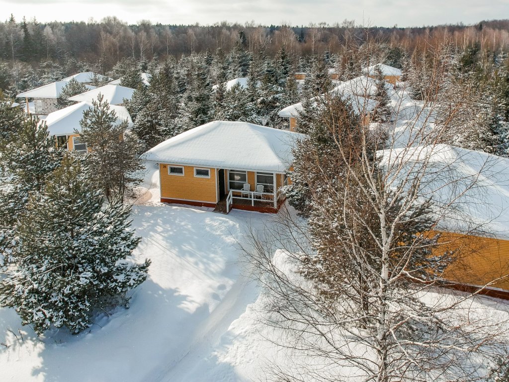 Фото Деревенька в лесу