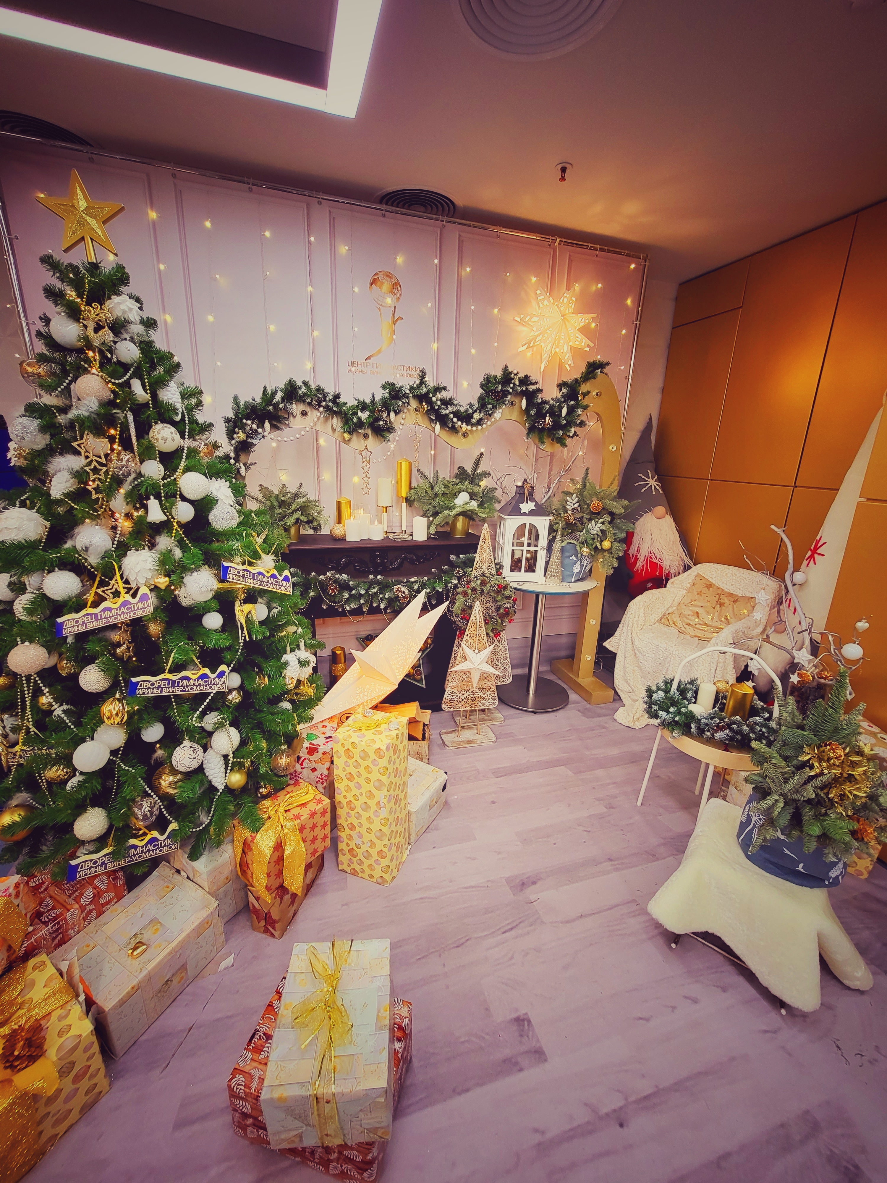 Фото Дворец Ирины Винер