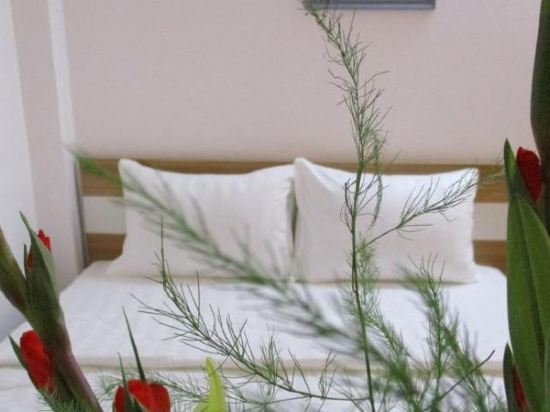 Фото City Backpackers Hostel