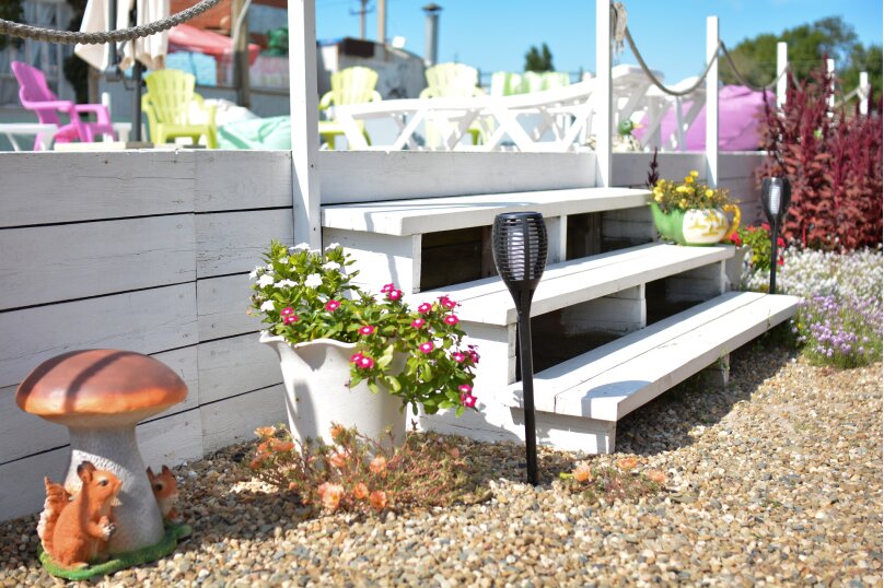 Фото Прованс