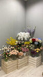 Real touch flowers-Искусственные цветы и растения из силикона, деревья (ulitsa Lomonosova, 75) ، النباتات والزهور الاصطناعية