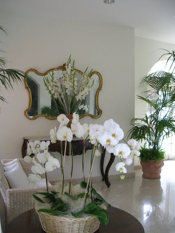 Фото Hotel dei Congressi