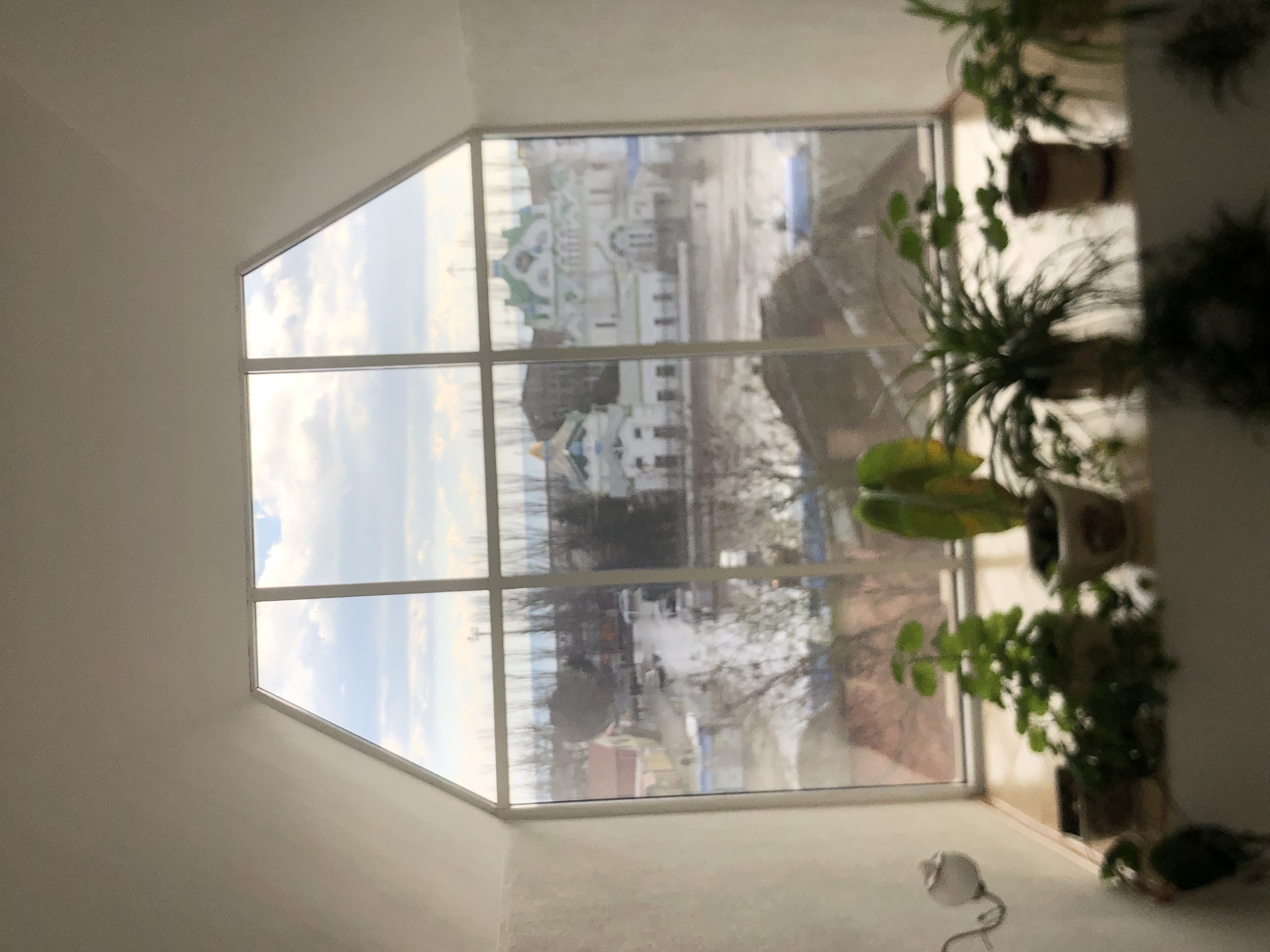 Фото Благословенная Таврида