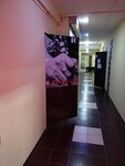 Fil Tattoo Studio (просп. Ломоносова, 15, корп. 1, Архангельск), тату-салон в Архангельске