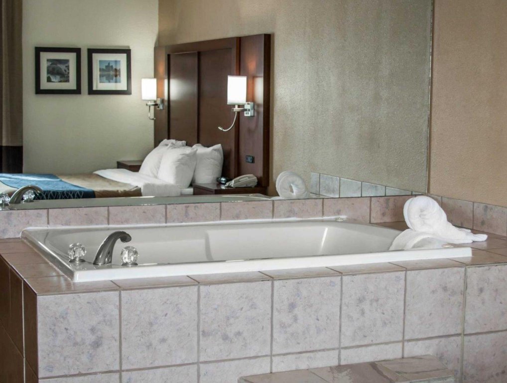 Фото Comfort Inn Detroit/Warren Sterling Heights