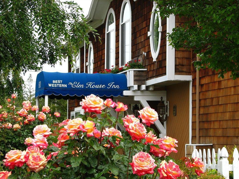 Фото Elm House Inn