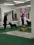 Kirovskaya regionalnaya obshchestvennaya organizatsiya Soyuz kinologov Vyatki (Derendyaeva Street, 80Д), zoocenter, club de amantes de los animales