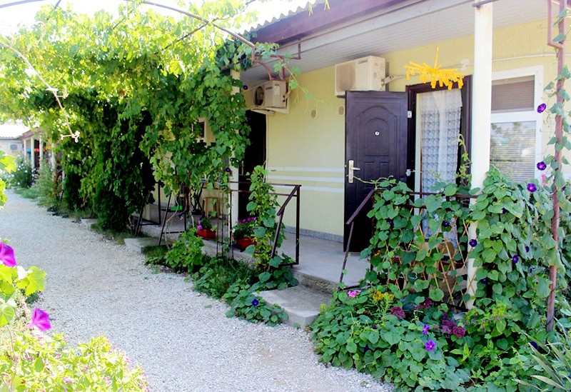 Фото Бумеранг