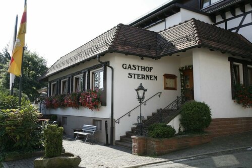 Гостиница Hotel Gasthof Sternen