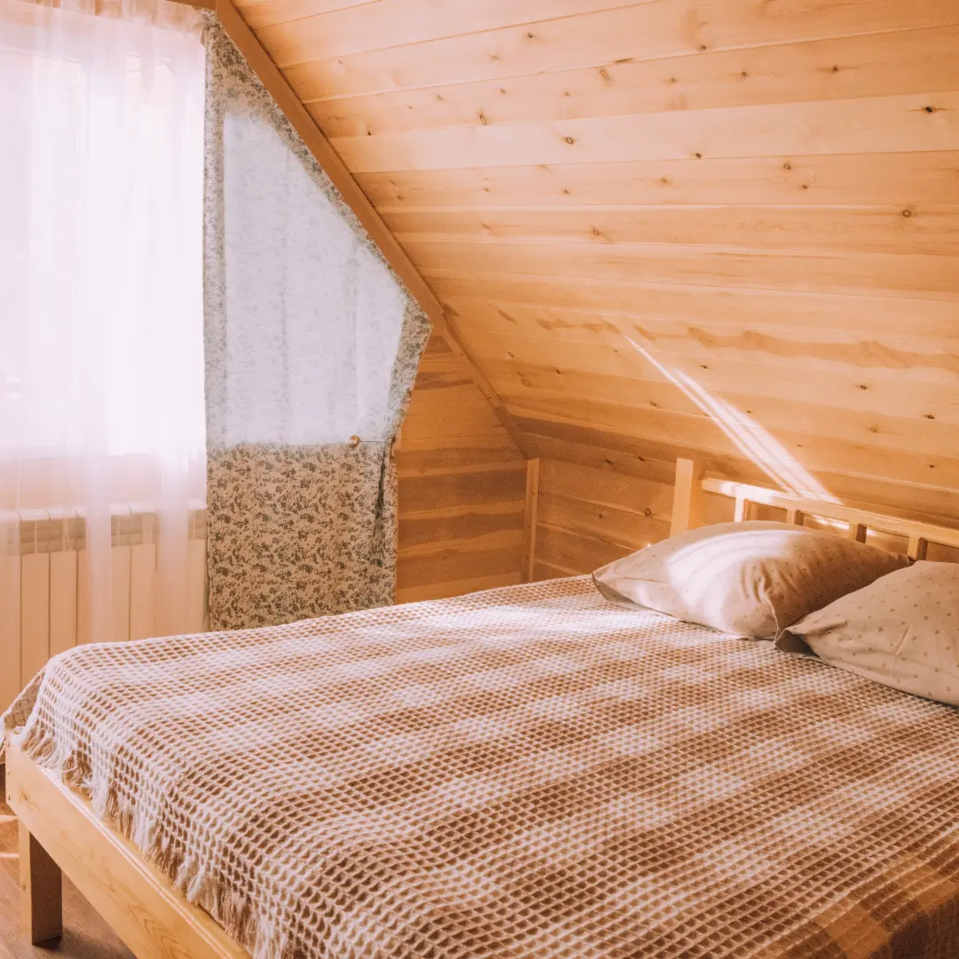 Фото Forest trail