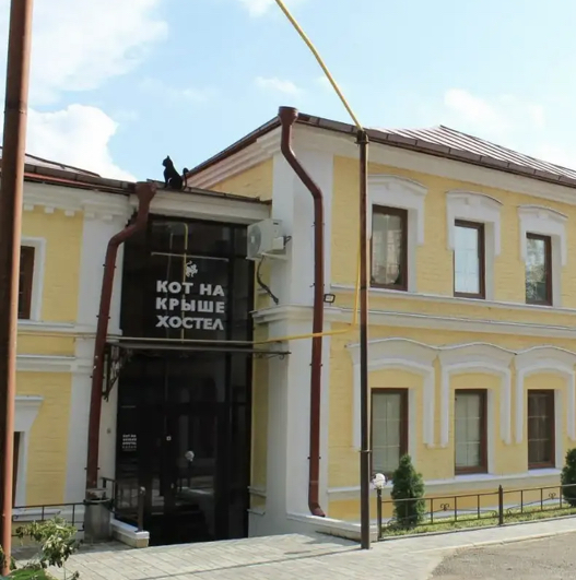 Фото Кот на крыше