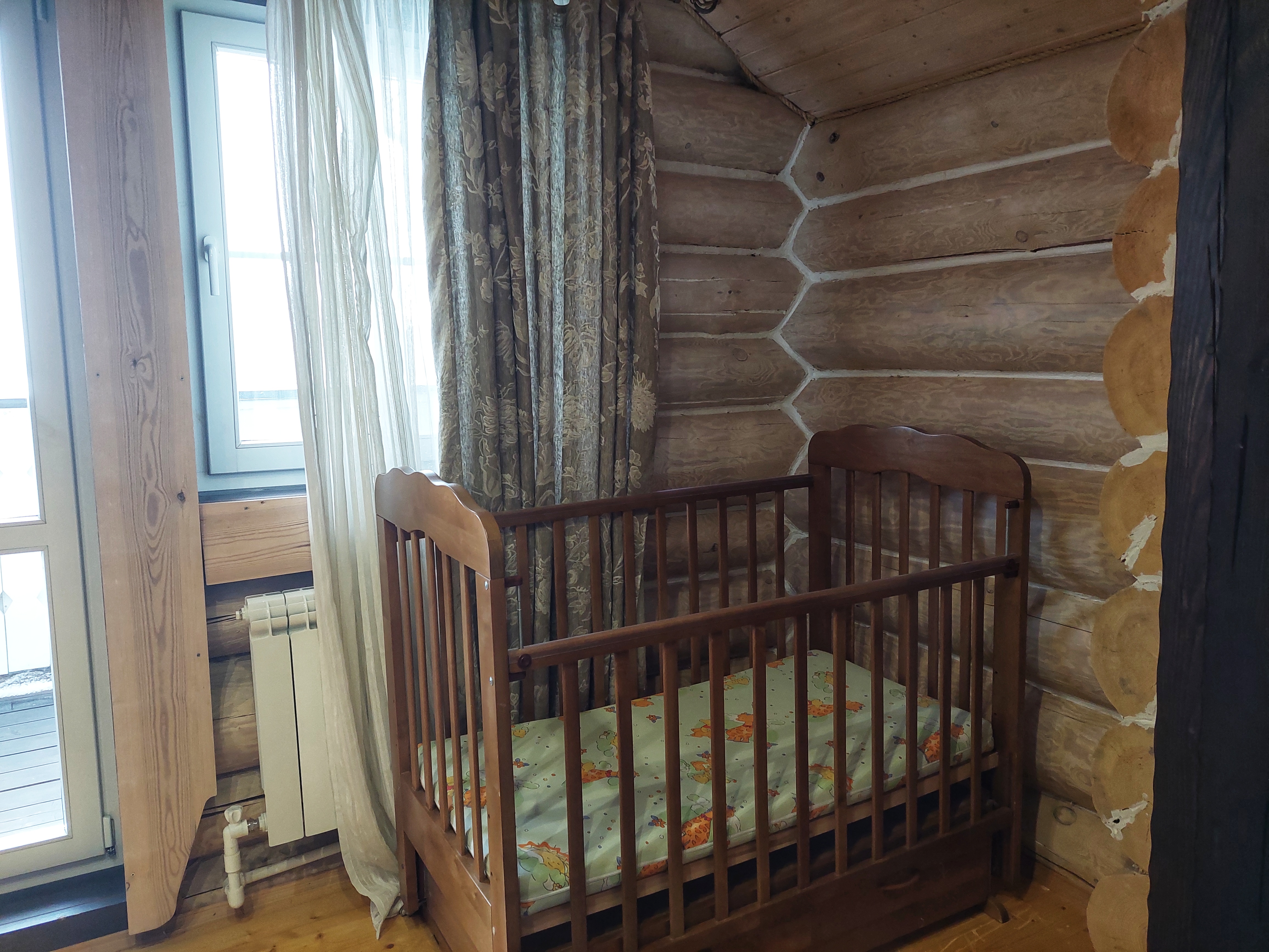 Фото Сорока