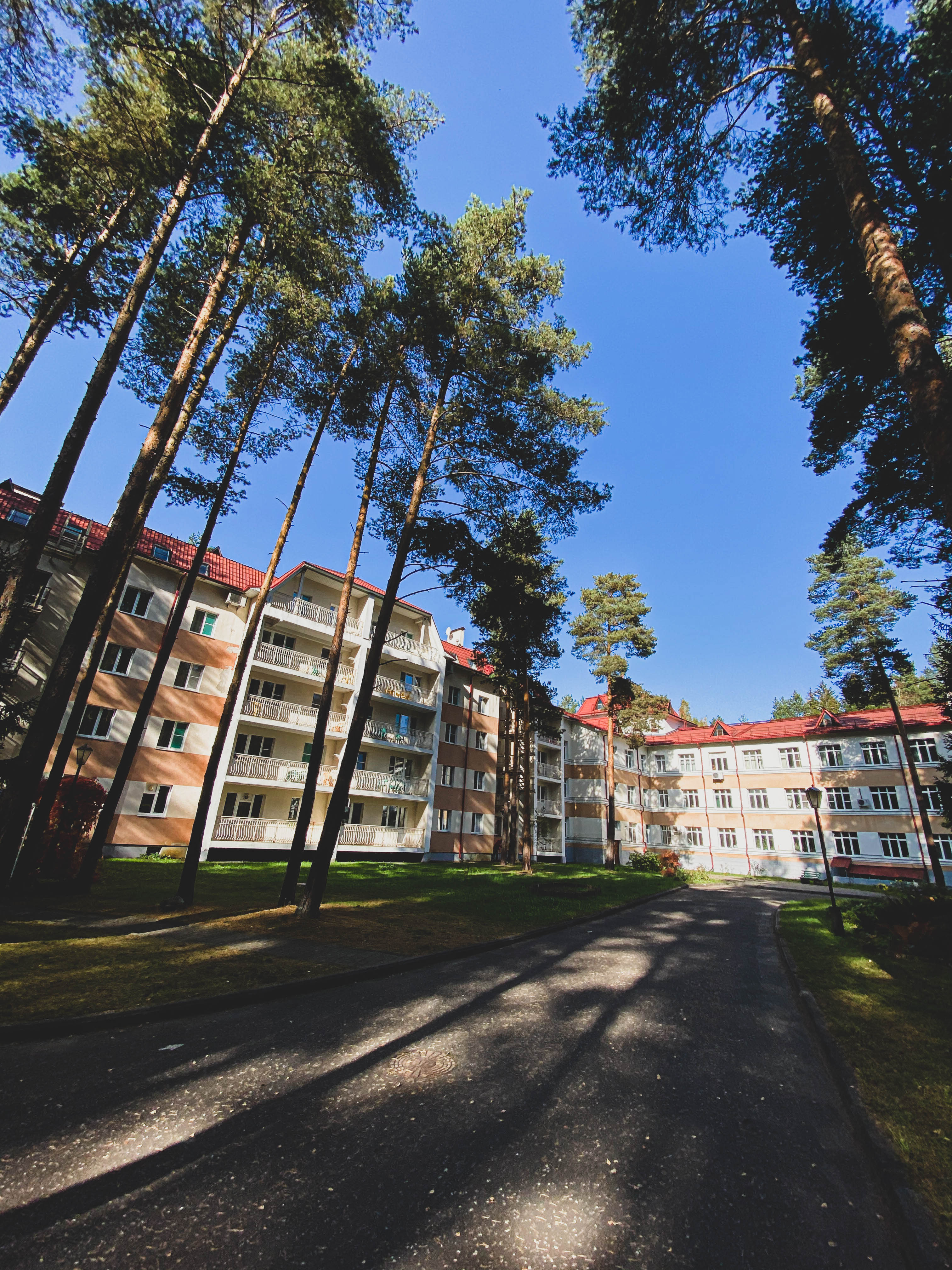 Фото Ясные зори