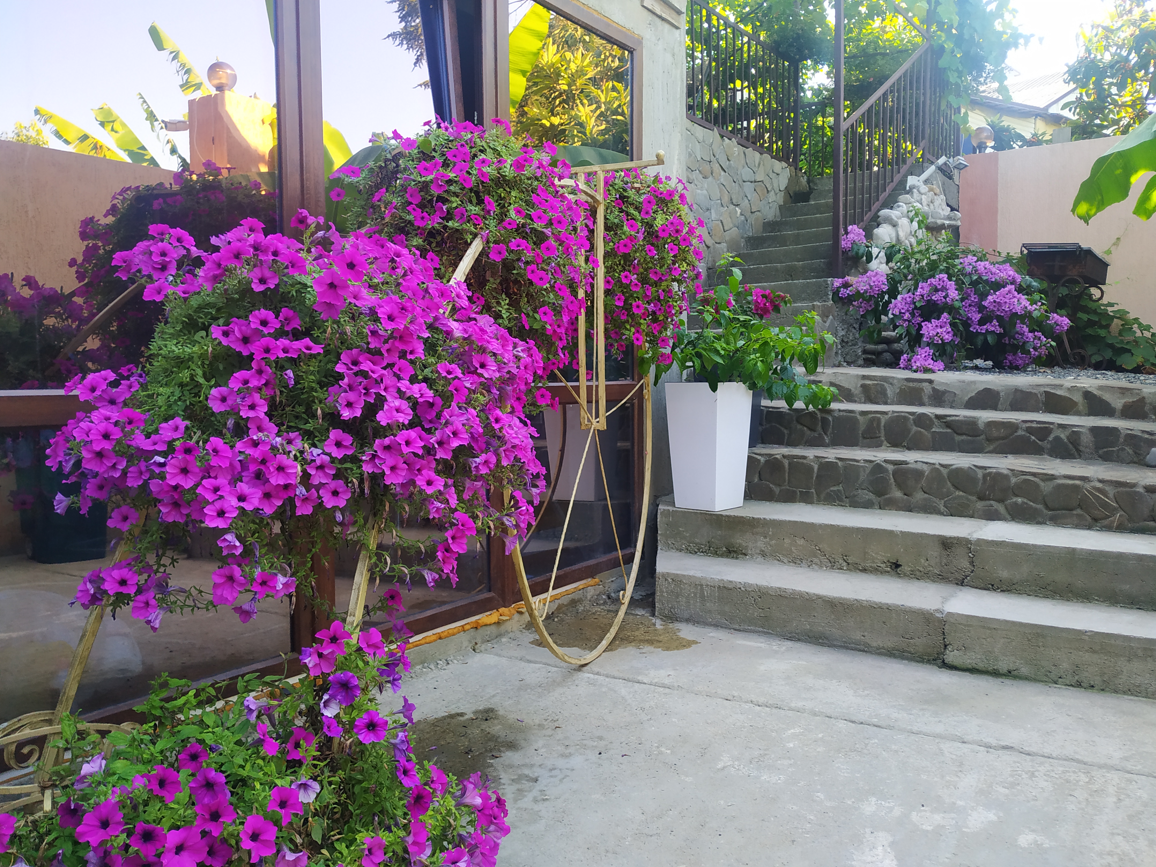 Фото Марсель