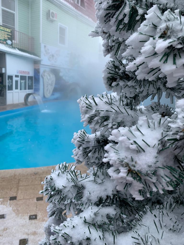 Фото Коралл фемели