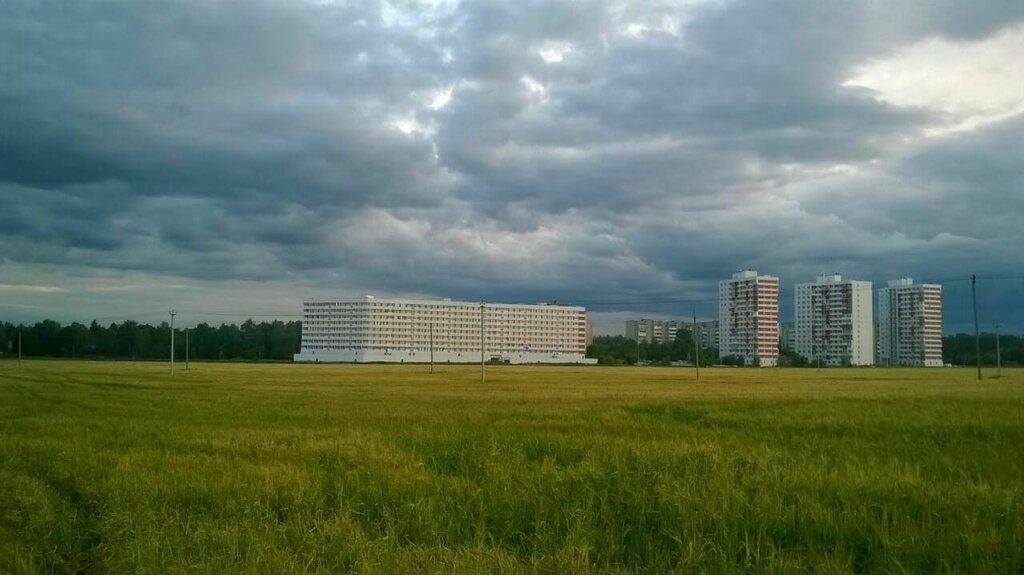 Жилой комплекс Светолюбово, Пушкино, фото