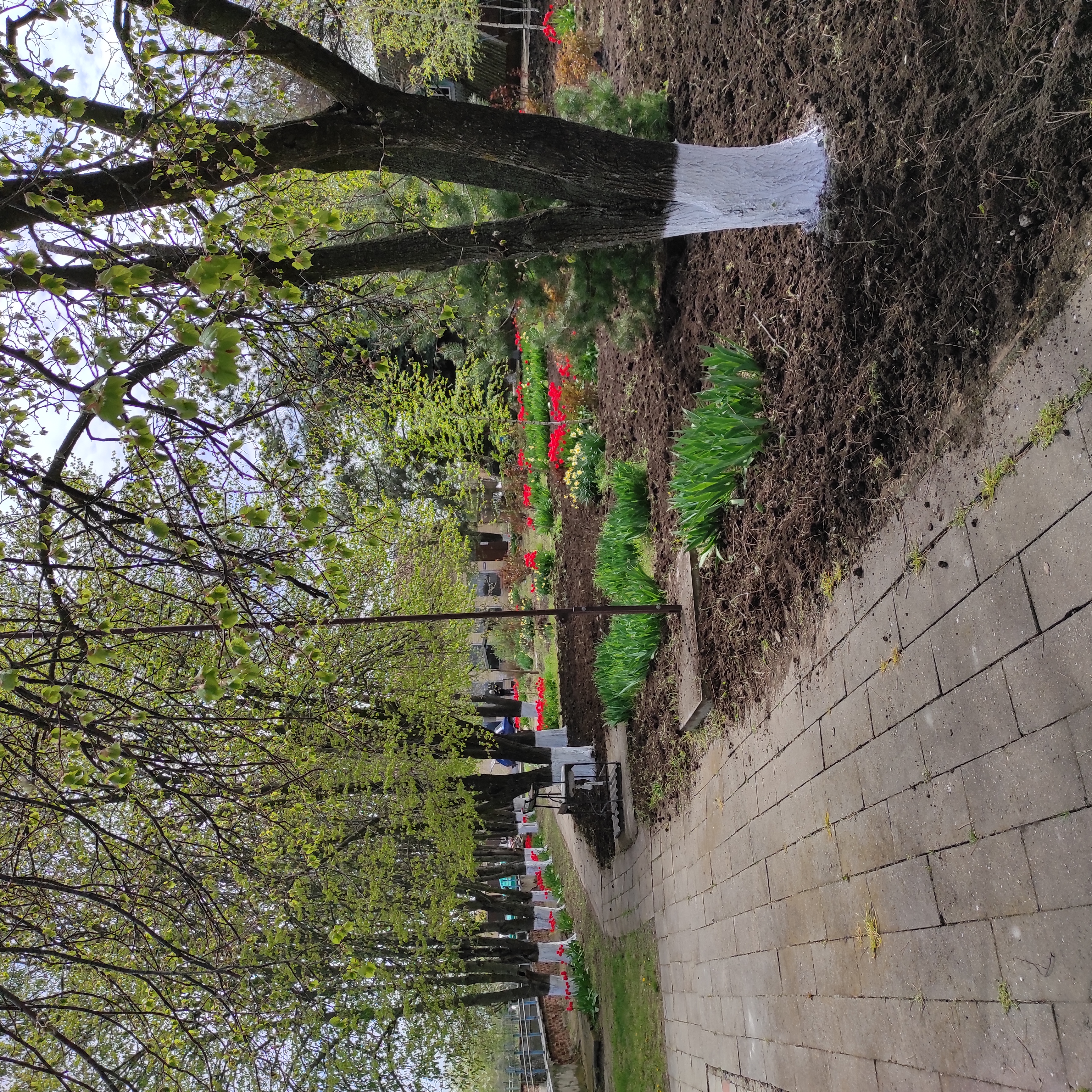 Фото Юность