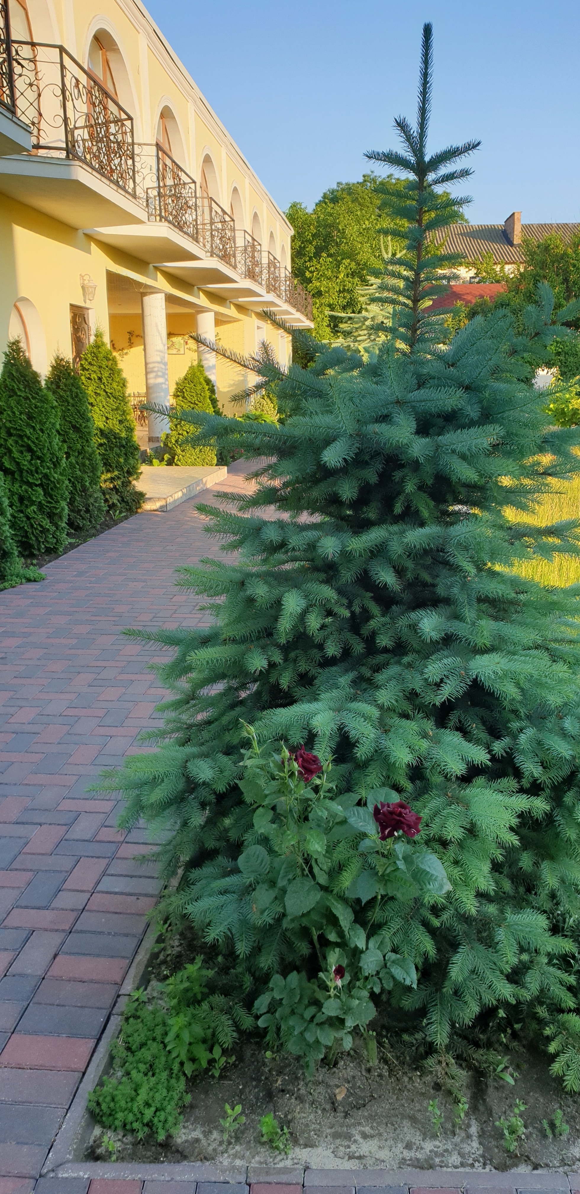 Фото Русская усадьба