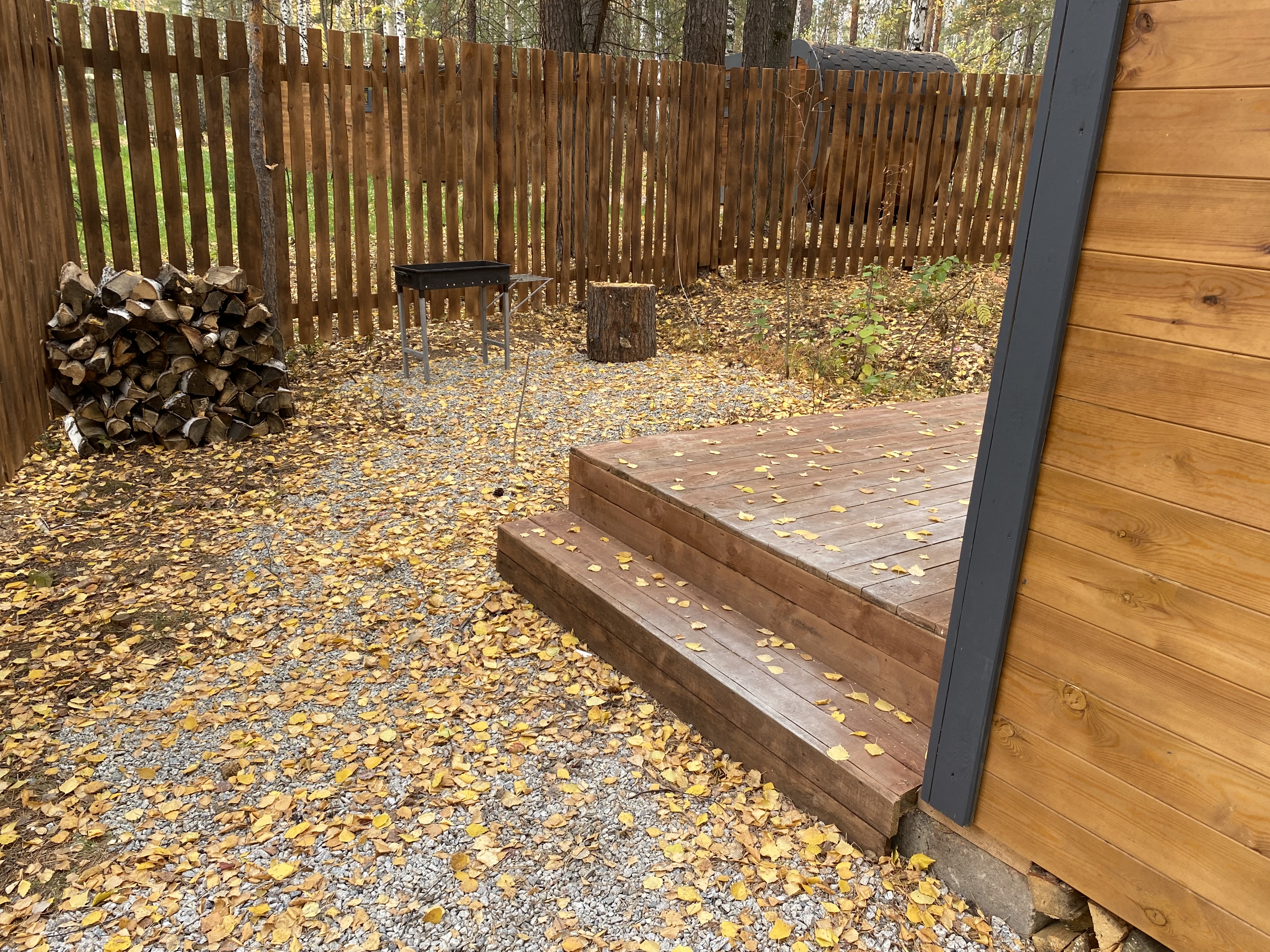 Фото Лесотерапия