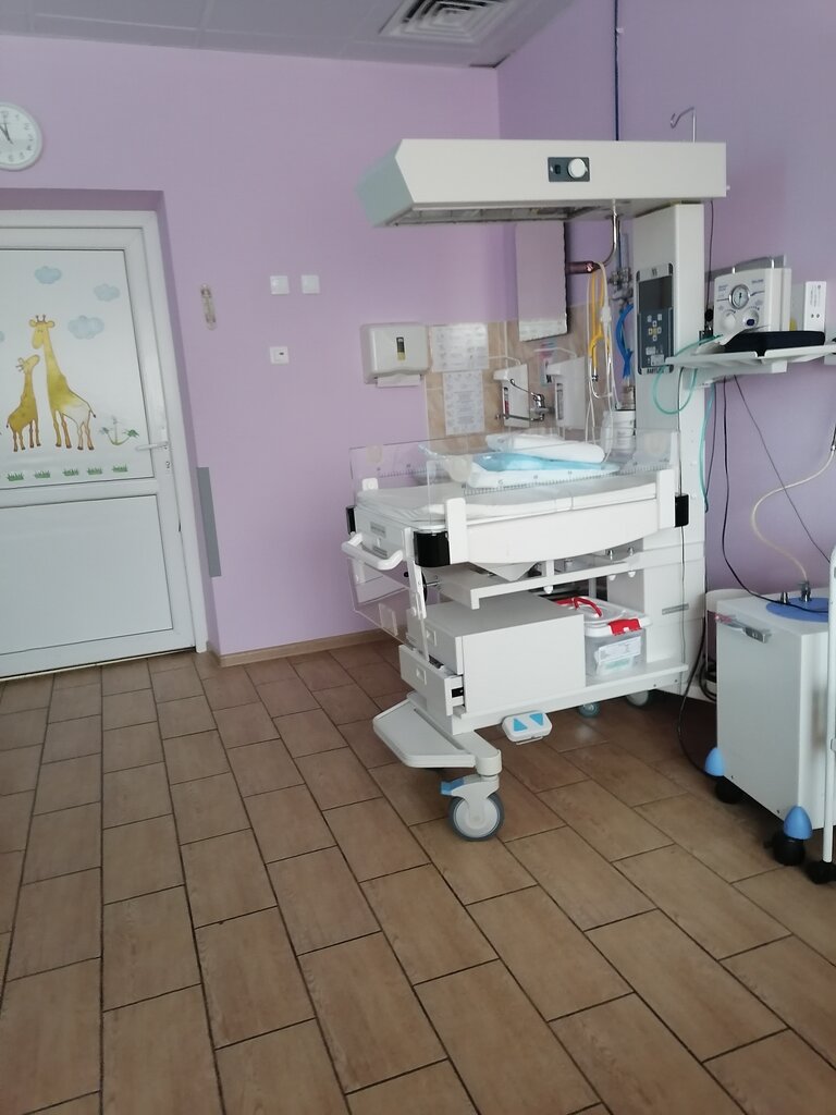 Perinatal medical centre Yekaterinburg Perinatal Center, Obstetric Hospital № 1, Yekaterinburg, photo