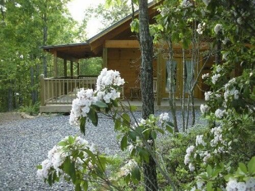 Гостиница Romantic, pet Friendly Cabin With Private hot Tub, Washer/dryer and Full Kitchen Studio Cabin