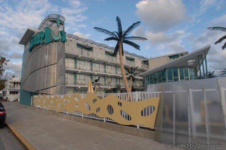 Фото Starlux Hotel