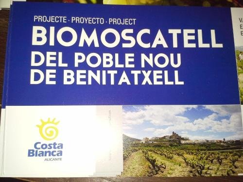 Фото Casa Antiquary