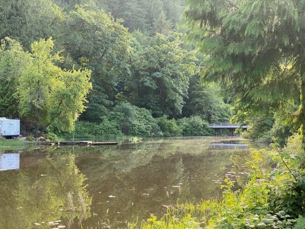 Фото Harrison Lake Hotel