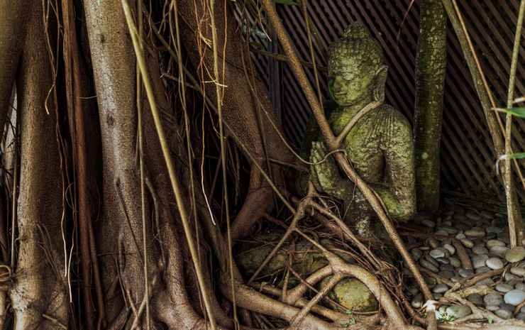 Фото The Village of Angels