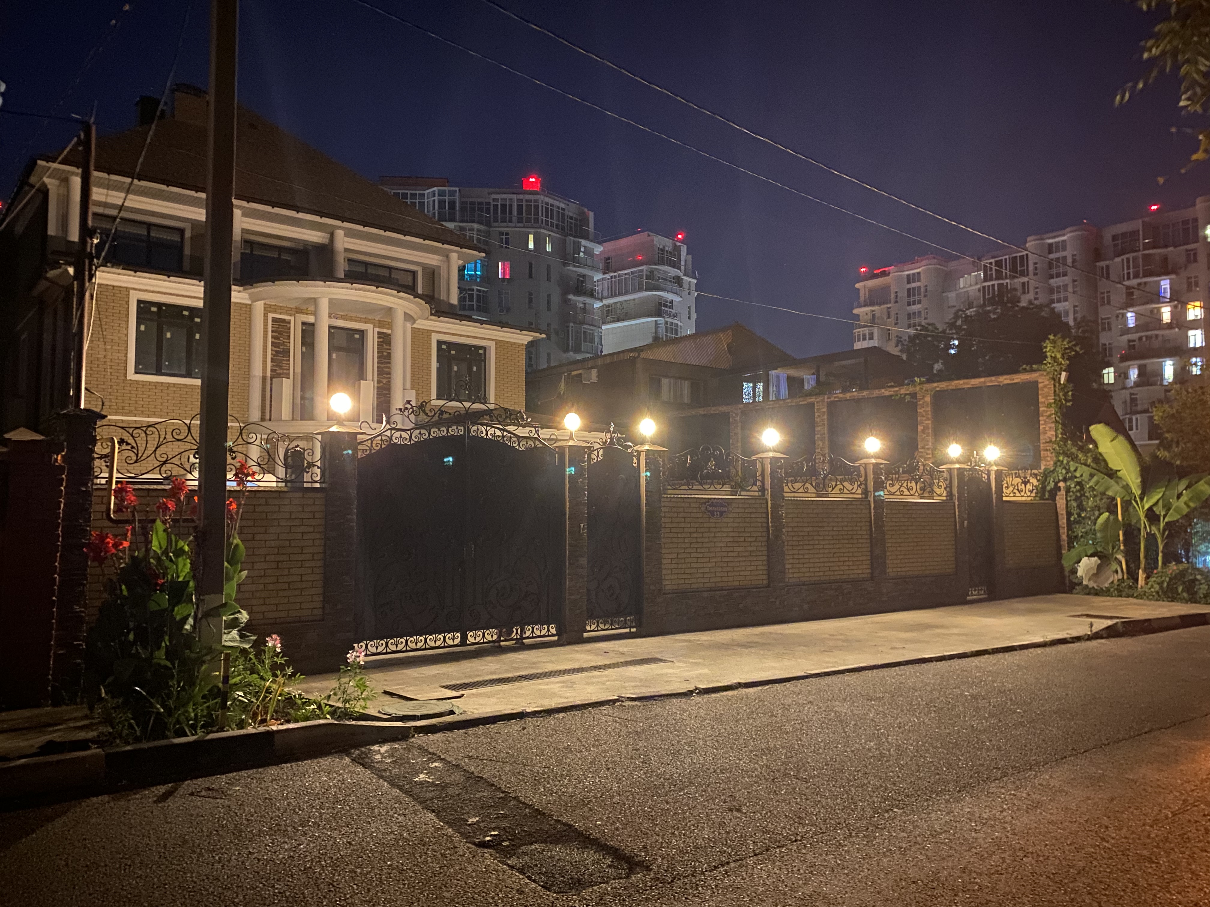 Фото 33 тюльпана