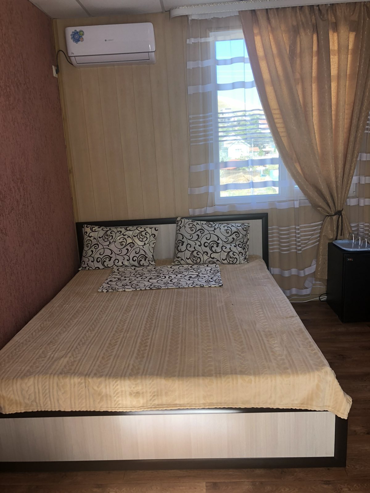 Фото Золотая Рыбка