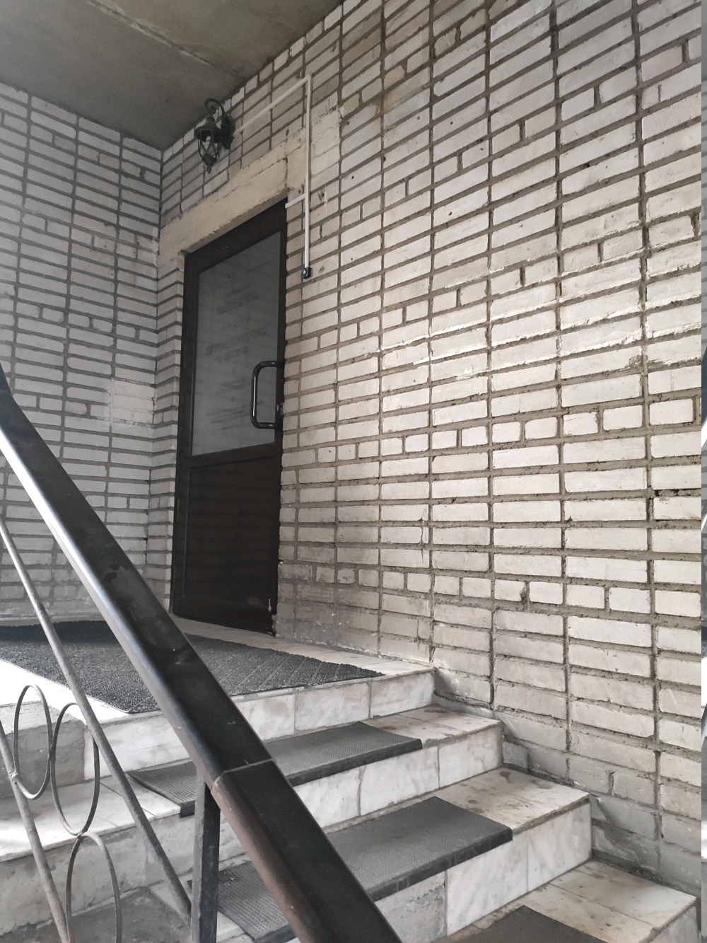 Фото Звездочка