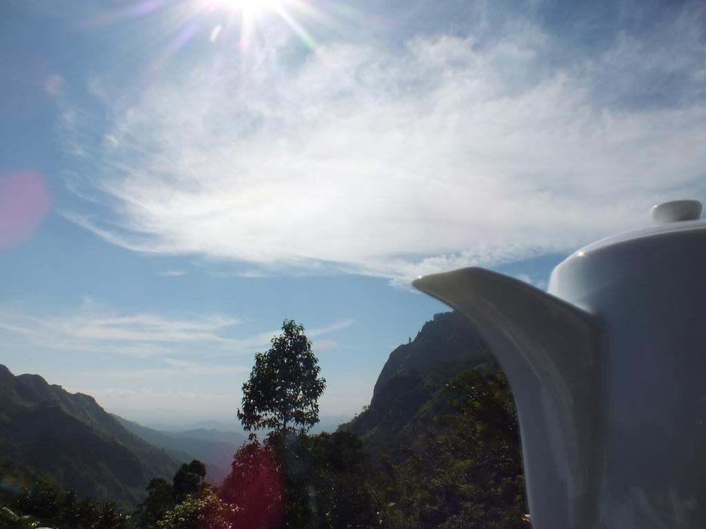 Фото Monarch ella