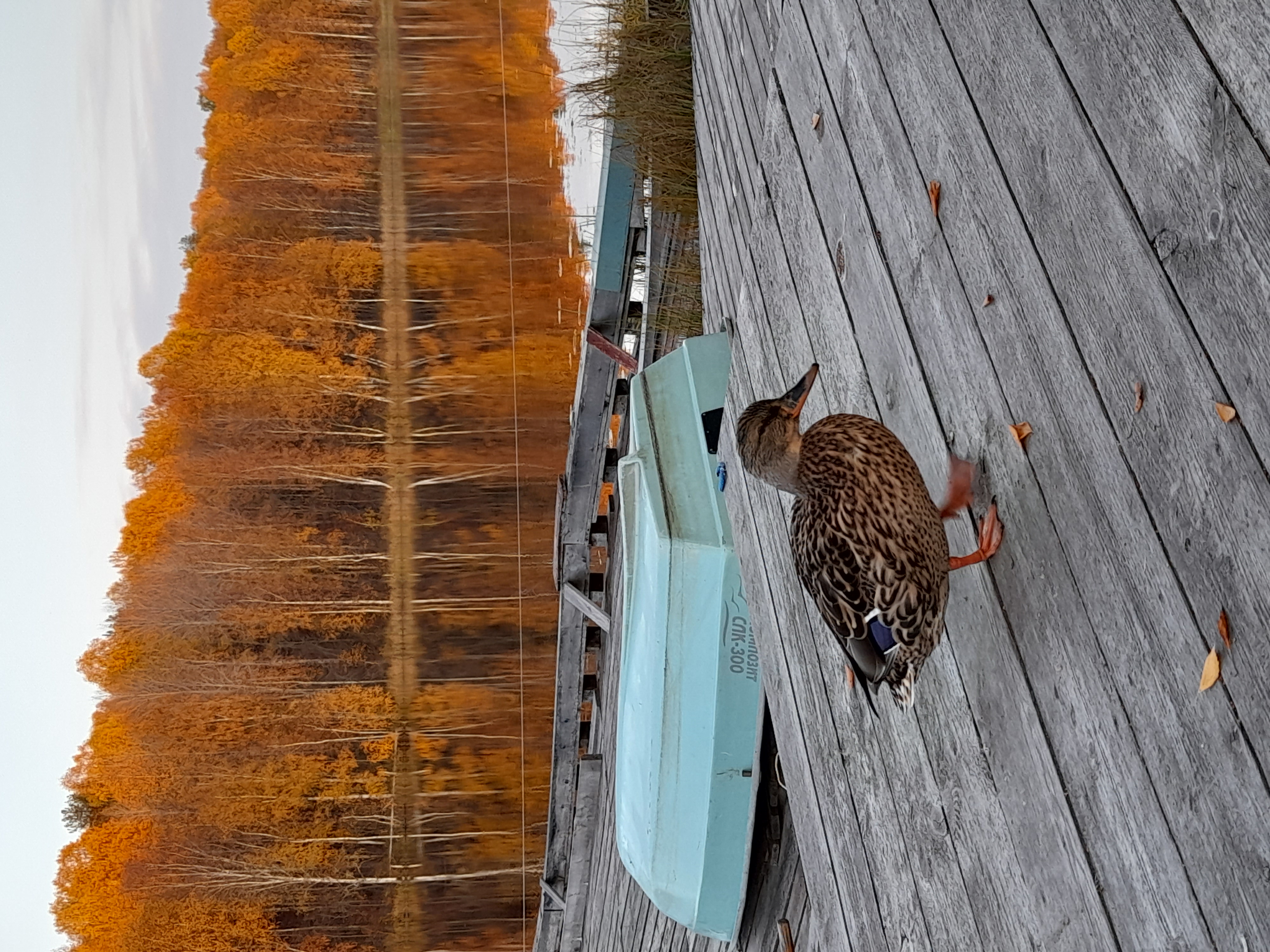 Фото Марциальные ключи