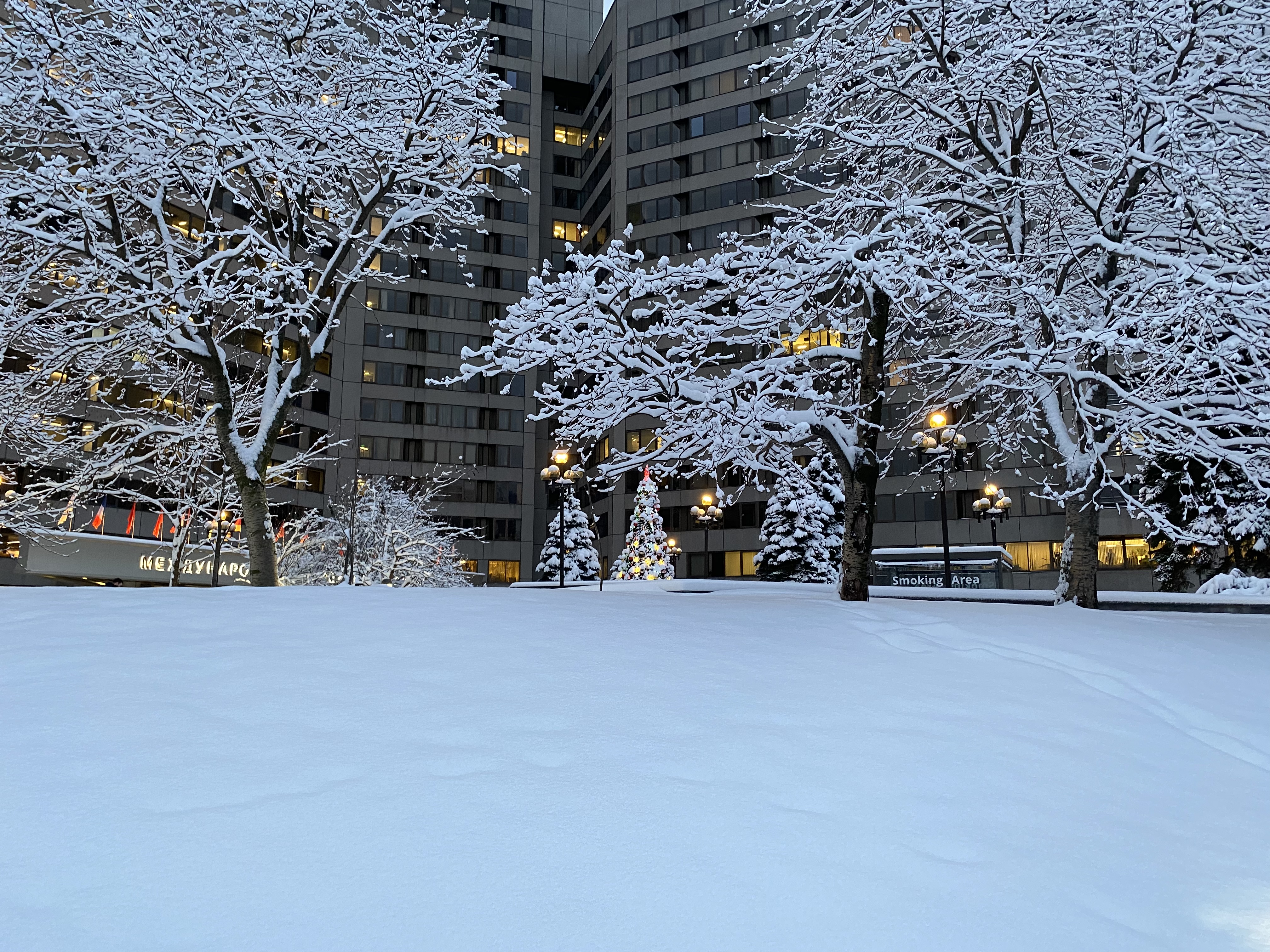Фото Международная