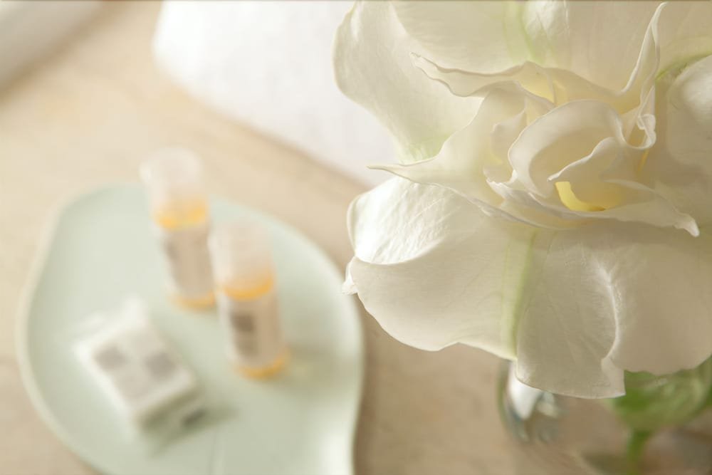 Фото Philippion Hotel & Apartments