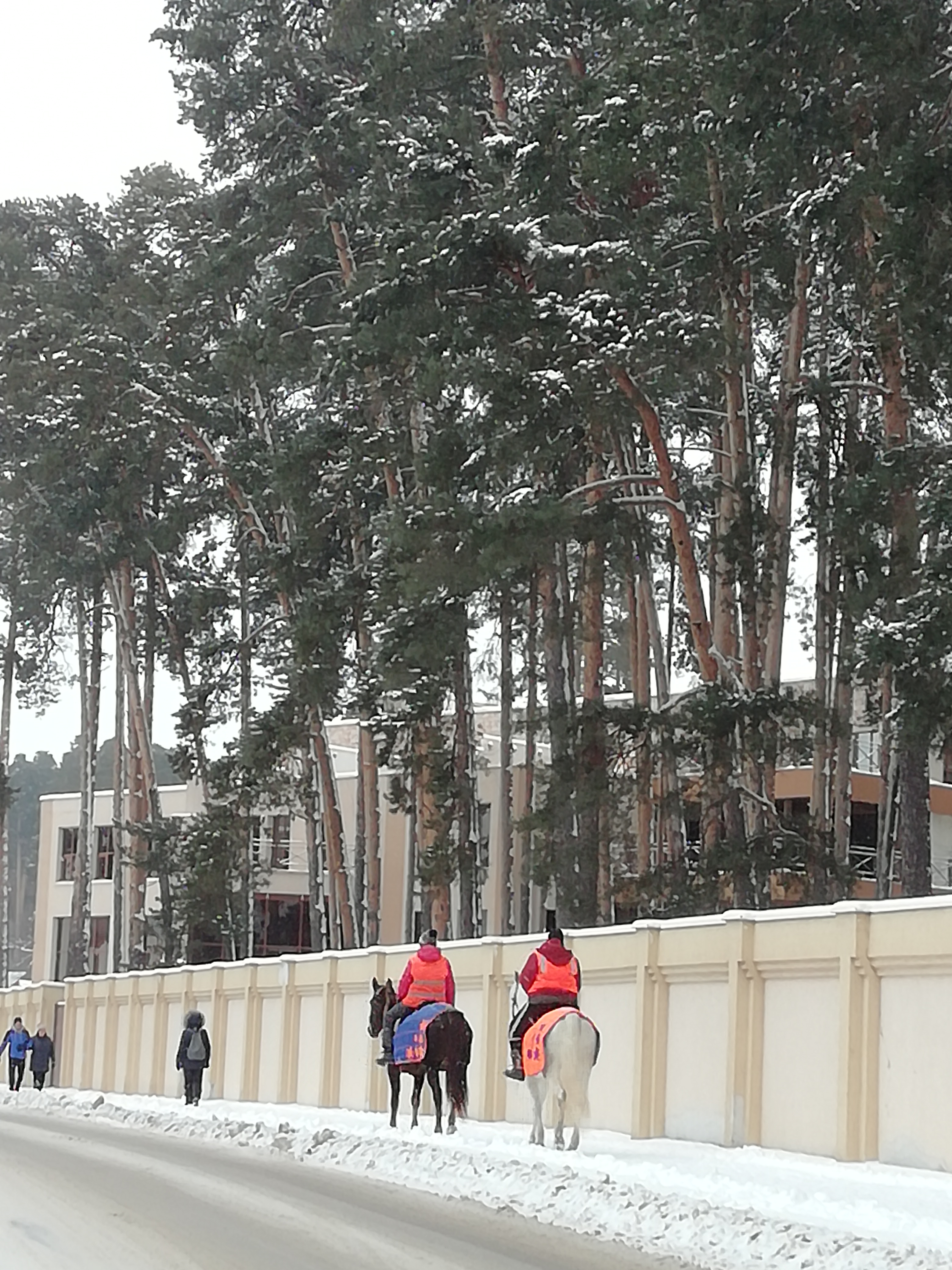 Фото Серебряный бор