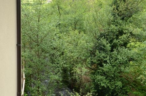 Фото El Rincón de Limés