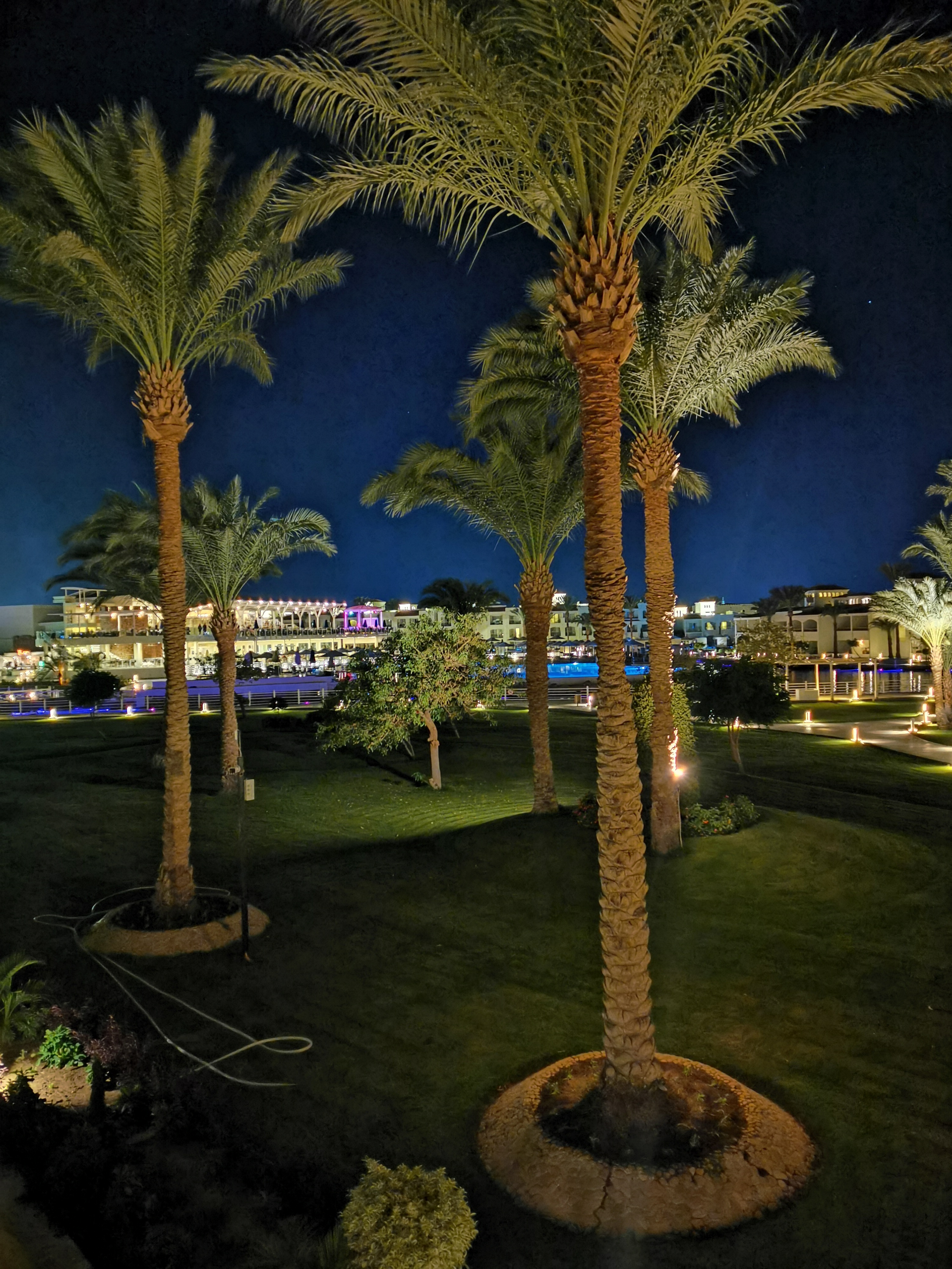 Фото Бич Альбатрос Резорт