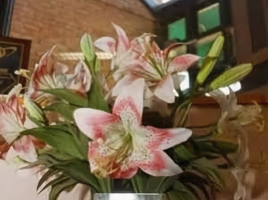 Фото Meadow Court Inn